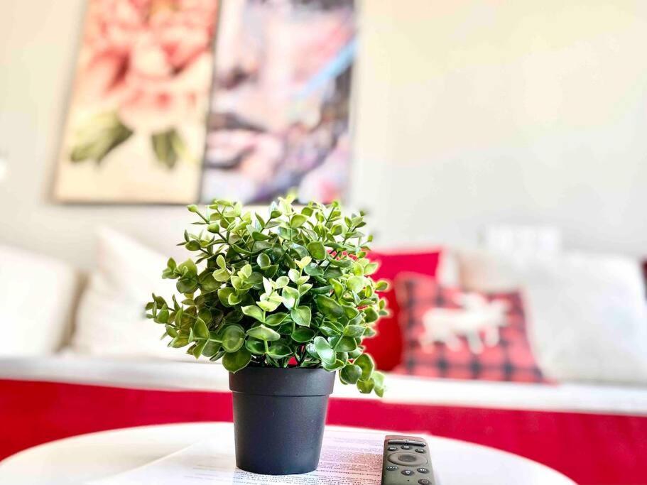 Tropicana 218 Macalister #Wondercolor #Infinity Pool #Georgetown #5Pax #2Br 2Bath #1King 1Queen 1Single #Quality Well Maintained #Private Host Экстерьер фото
